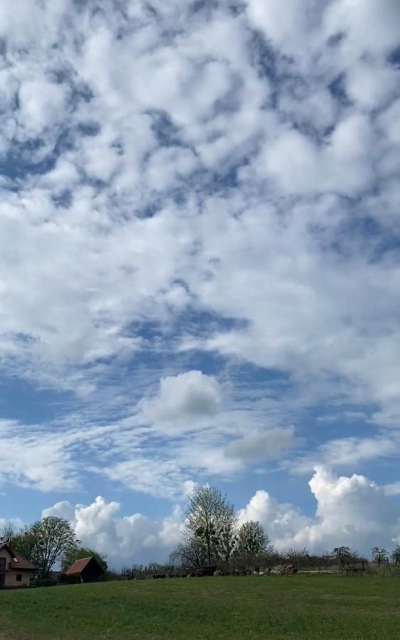 Agroturystyka Nad Jeziorem Silickim Ilinscy Silice Exteriér fotografie
